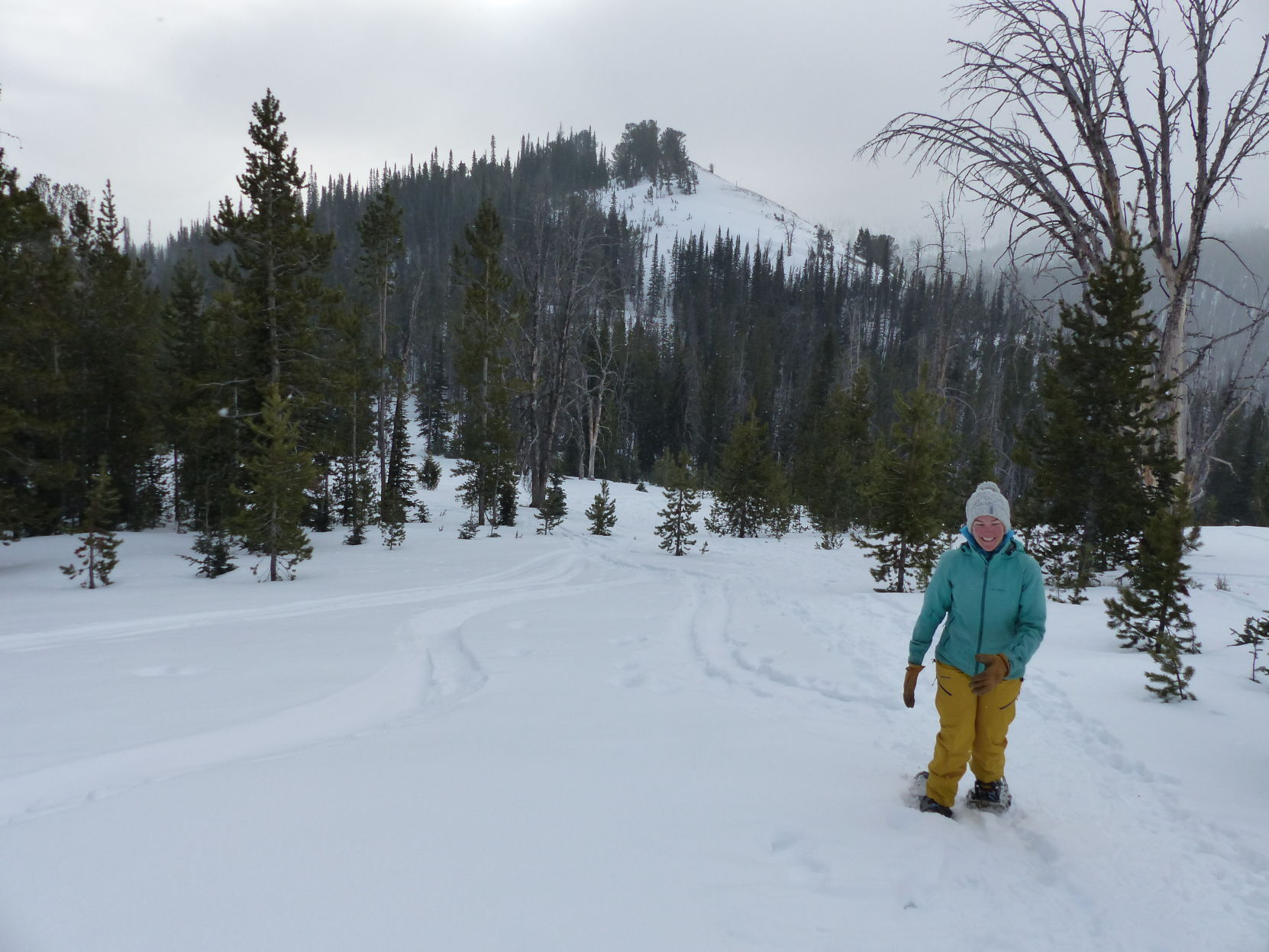 Snowshoeing